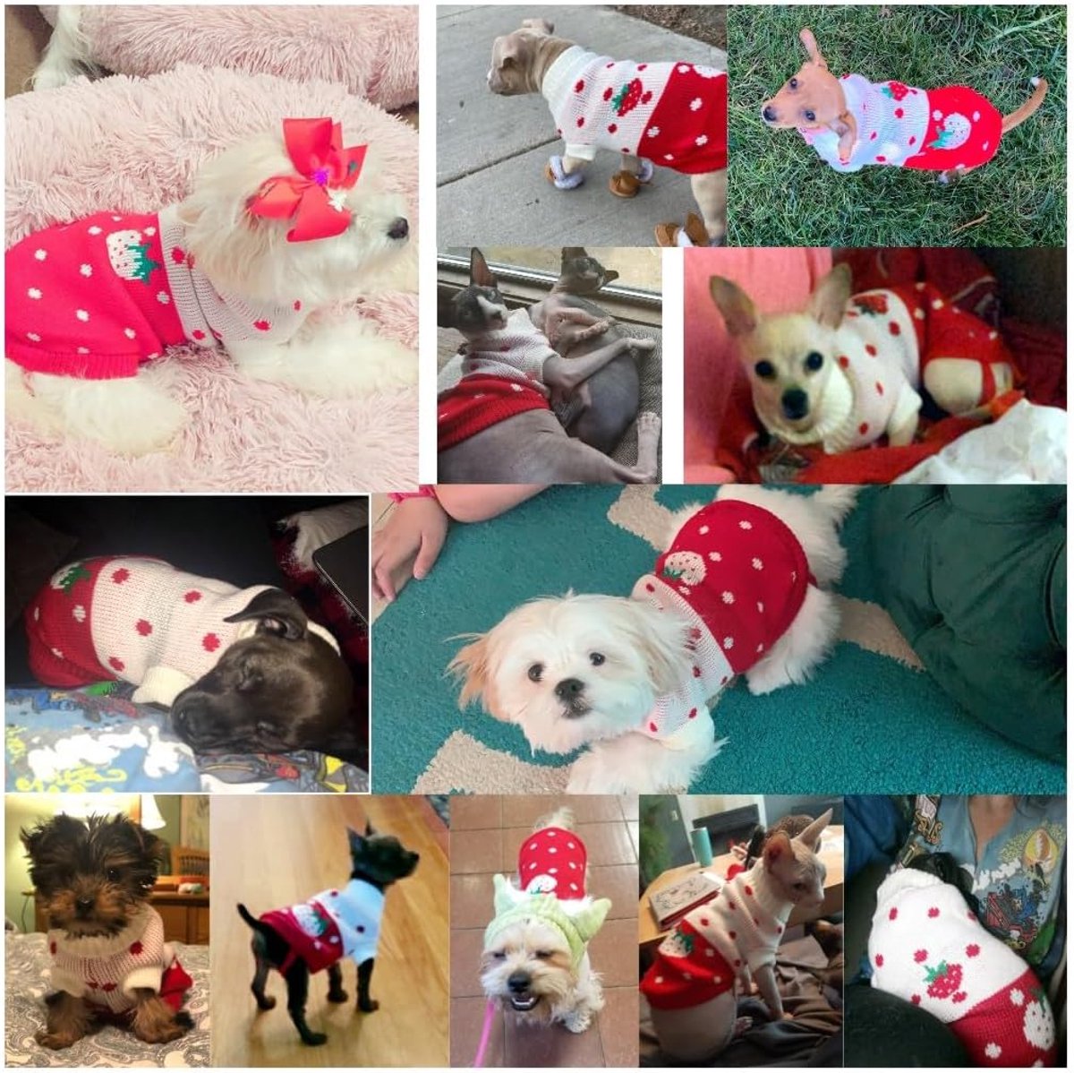 Dog Coat - Dog Sweater - Classic Turtleneck Knit Dog Sweater - Warm Winter Dog Clothes - Cute Strawberry Heart Pattern - Perfect for Small and Medium Dogs - Red - Size XXL - Image 5