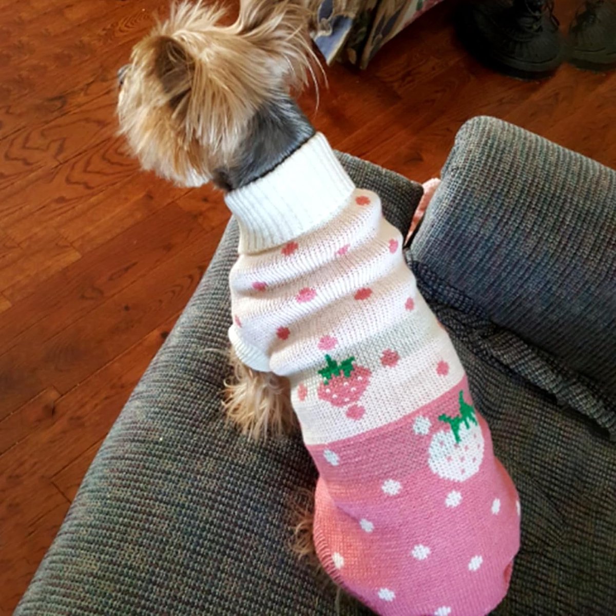 Dog Coat - Dog Sweater - Classic Turtleneck Knit Dog Sweater - Warm Winter Dog Clothes - Cute Strawberry Heart Pattern - Perfect for Small and Medium Dogs - Pink - Size XXL - Image 3
