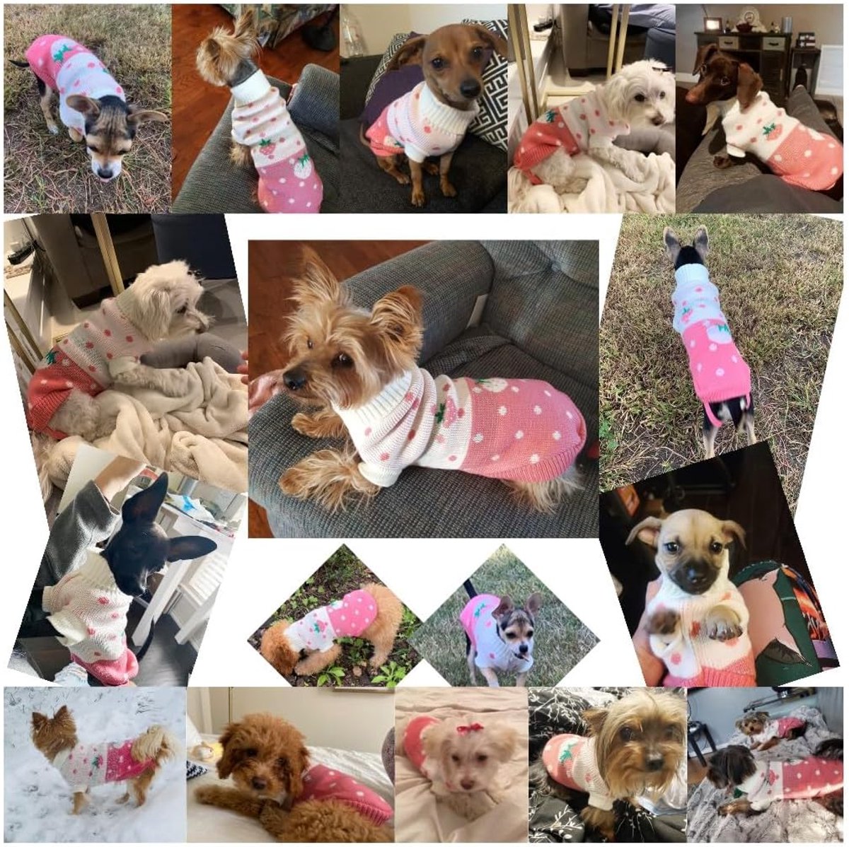 Dog Coat - Dog Sweater - Dog Pullover - Classic Turtleneck Knit Dog Sweater - Warm Winter Dog Clothes - Cute Strawberry Heart Pattern - Perfect for Small and Medium Dogs - Pink - Size S - Image 5