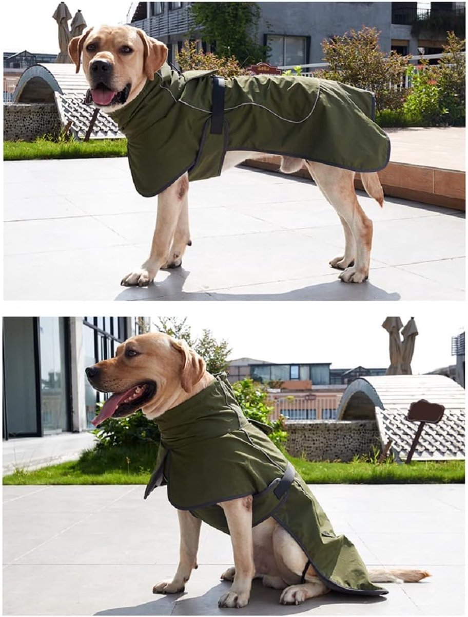 Dog Raincoat - Dog Jacket - Waterproof Winter Dog Coat - Windproof Dog Coat - Winter Dog Coat - Reflective Strip - Green - Size S - Perfect for Small and Medium Dogs - Image 5