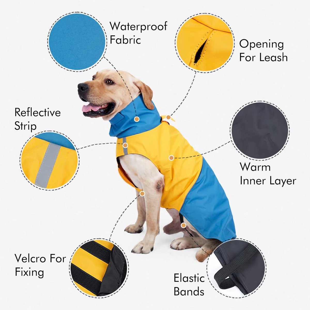 Dog Raincoat - Dog Jacket - Waterproof Winter Dog Jackets - Windproof Dog Jacket - Winter Dog Jacket - Reflective Strip - Perfect for Small Dogs - Medium-Sized Dogs - Blue and Yellow - Size S - Image 2