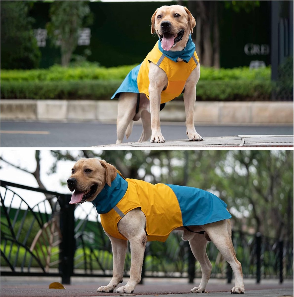Dog Raincoat - Dog Jacket - Waterproof Winter Dog Jackets - Windproof Dog Jacket - Winter Dog Jacket - Reflective Strip - Perfect for Small Dogs - Medium-Sized Dogs - Blue and Yellow - Size XXL - Image 3