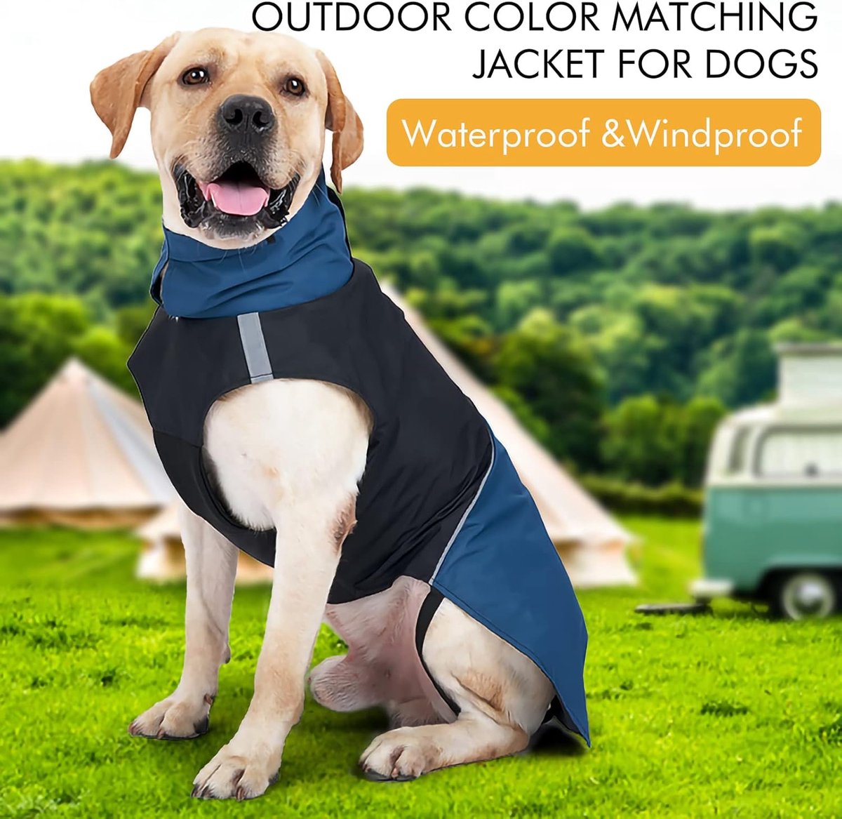 Dog Raincoat - Dog Jacket - Waterproof Winter Dog Jackets - Windproof Dog Jacket - Winter Dog Jacket - Reflective Strip - Perfect for Small Dogs - Medium-Sized Dogs - Blue and Black - Size S - Image 4