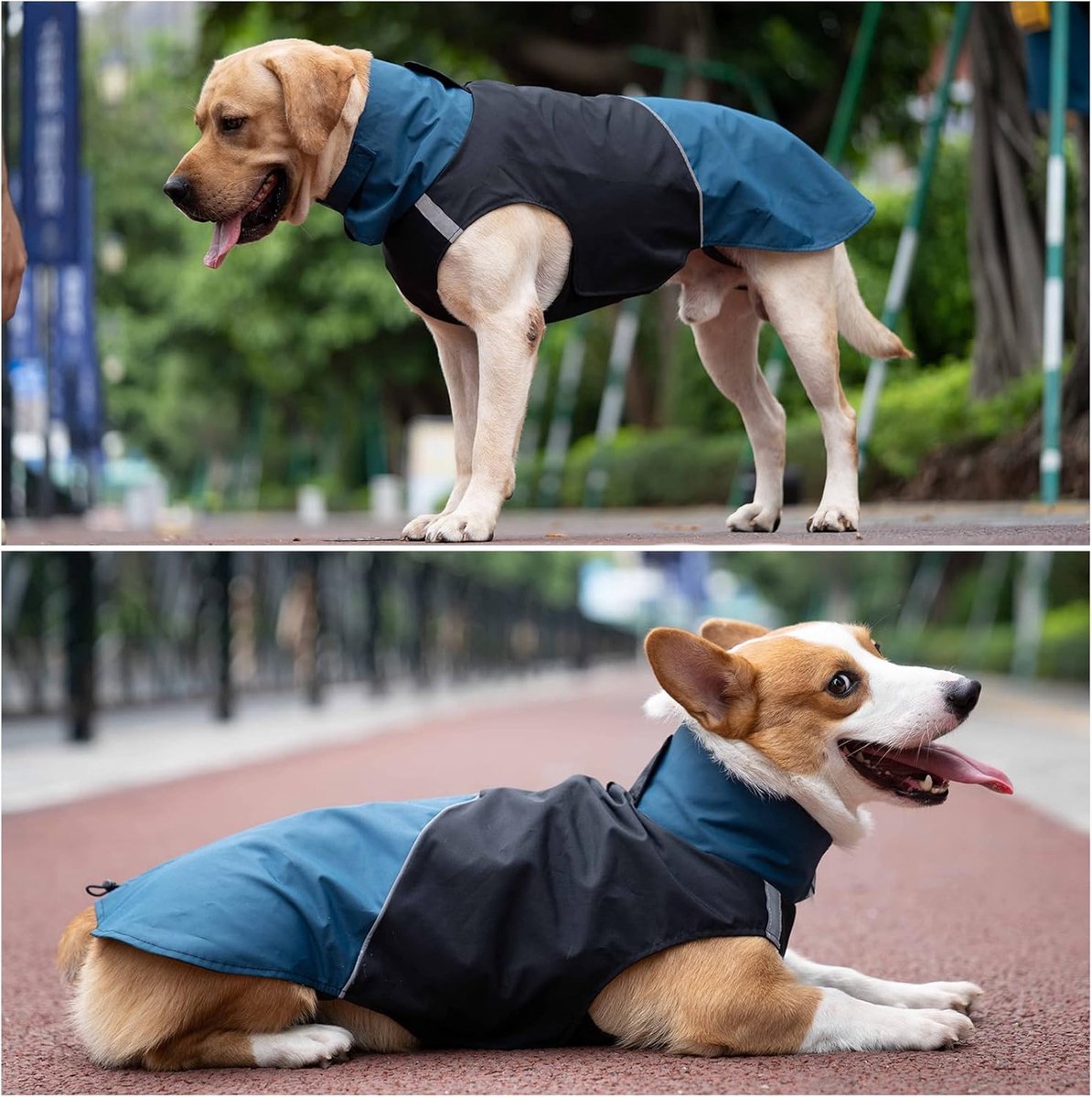 Dog Raincoat - Dog Jacket - Waterproof Winter Dog Jackets - Windproof Dog Jacket - Winter Dog Jacket - Reflective Strip - Perfect for Small Dogs - Medium-Sized Dogs - Blue and Black - Size L - Image 3