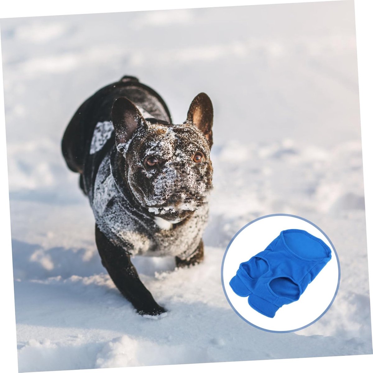 Dog Coat - Fleece Vest - Dog Sweater - Warm Winter Coat - Pull-On Fleece Coat - Leash with Ring - Perfect for Small and Medium Dogs - Blue - Size L - Image 5