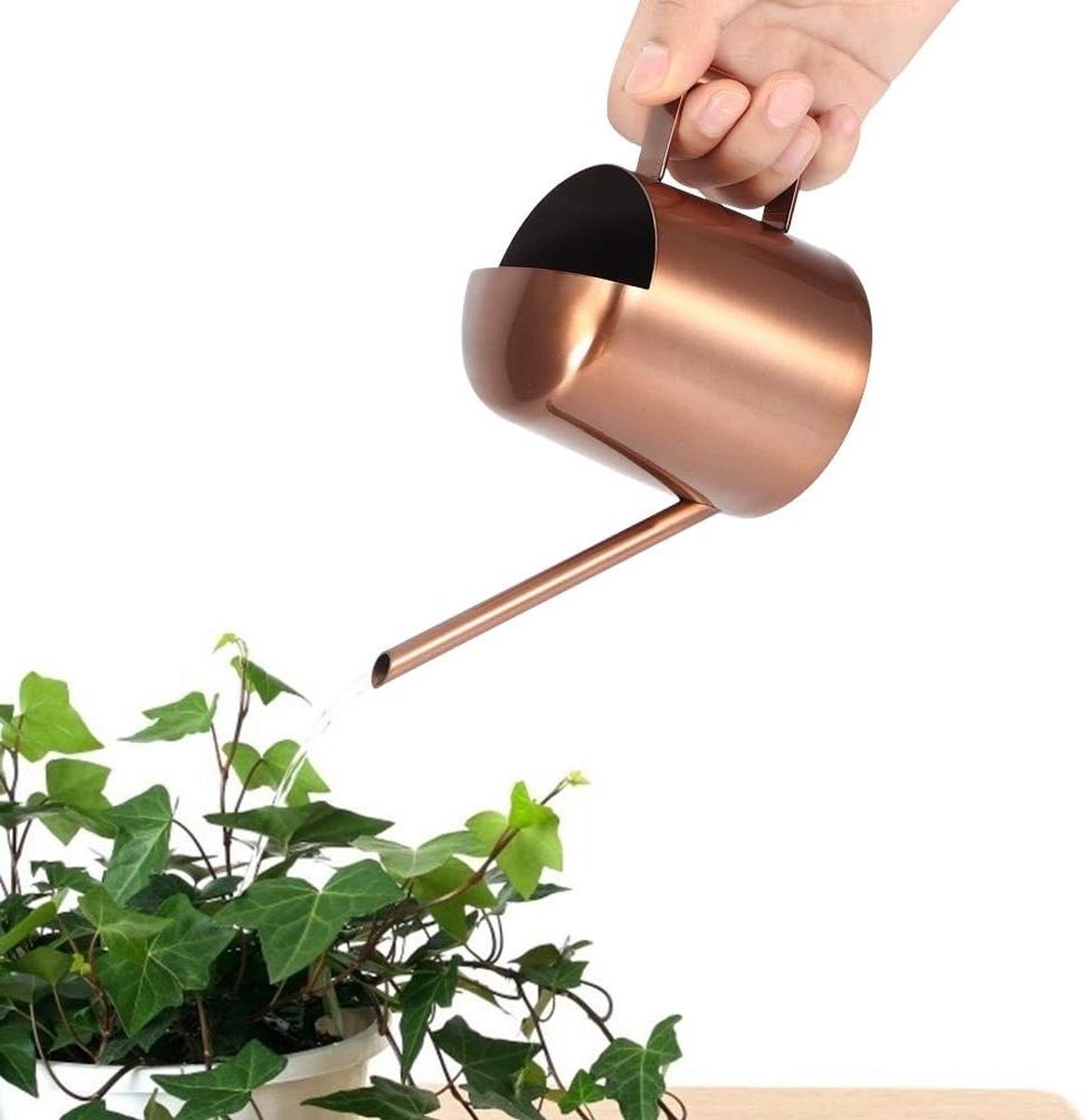 Small 300ml stainless steel watering can with long spout - ideal for flowers and household use - Image 1