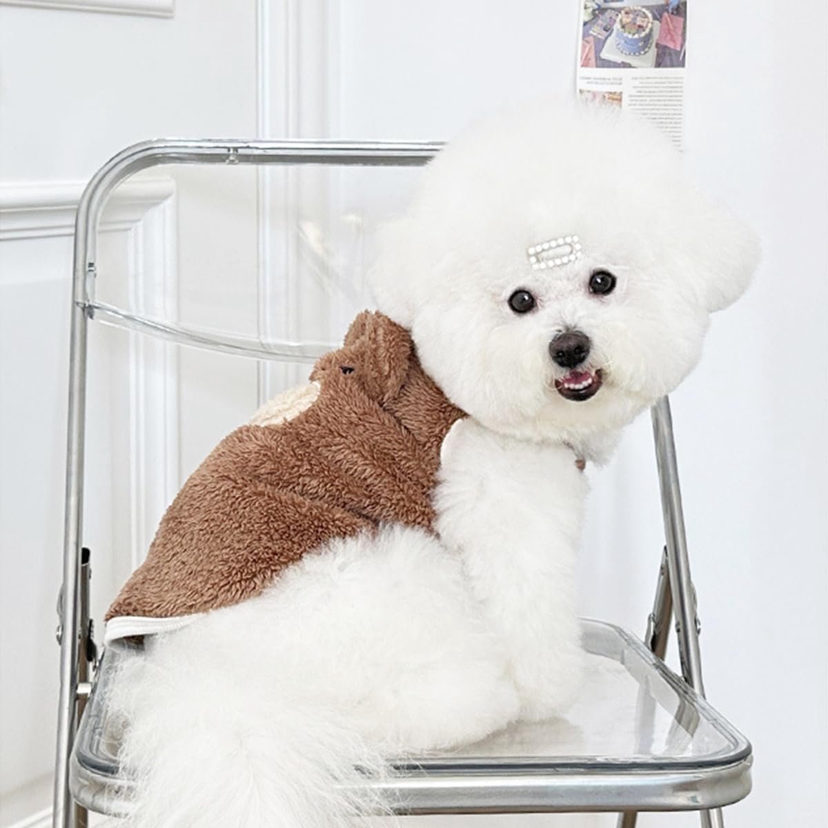 Dog Sweater - Dog Coat - Warm Winter Sweater - Warm Dog Coat - Teddy Bear - Plush Jacket - Warm Clothes - Perfect for Small Dogs - Medium-Sized Dogs - Dog - Coffee - Medium - Size L - Image 4