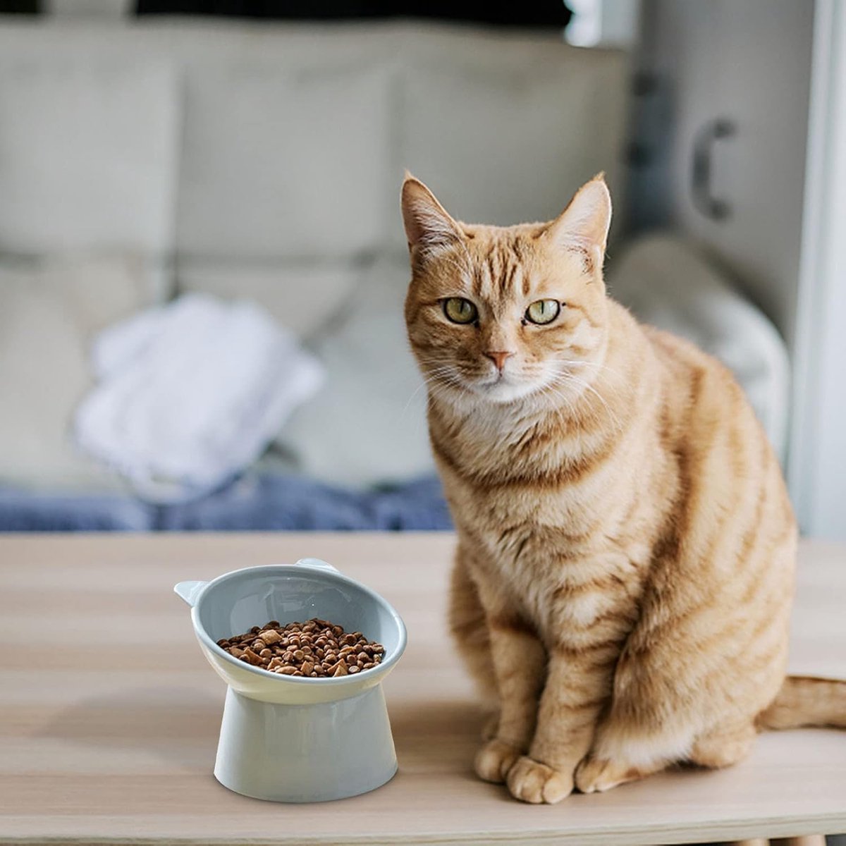 Cat bowl - Feeders - Tilting bowl - Anti-vomiting - Angled design - Blue - Perfect for cats - Indoor use - Pet accessories - Blue - Image 4