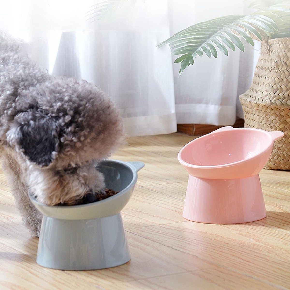 Cat bowl - Feeders - Tilting bowl - Anti-vomiting - Angled design - Blue - Perfect for cats - Indoor use - Pet accessories - Blue - Image 6