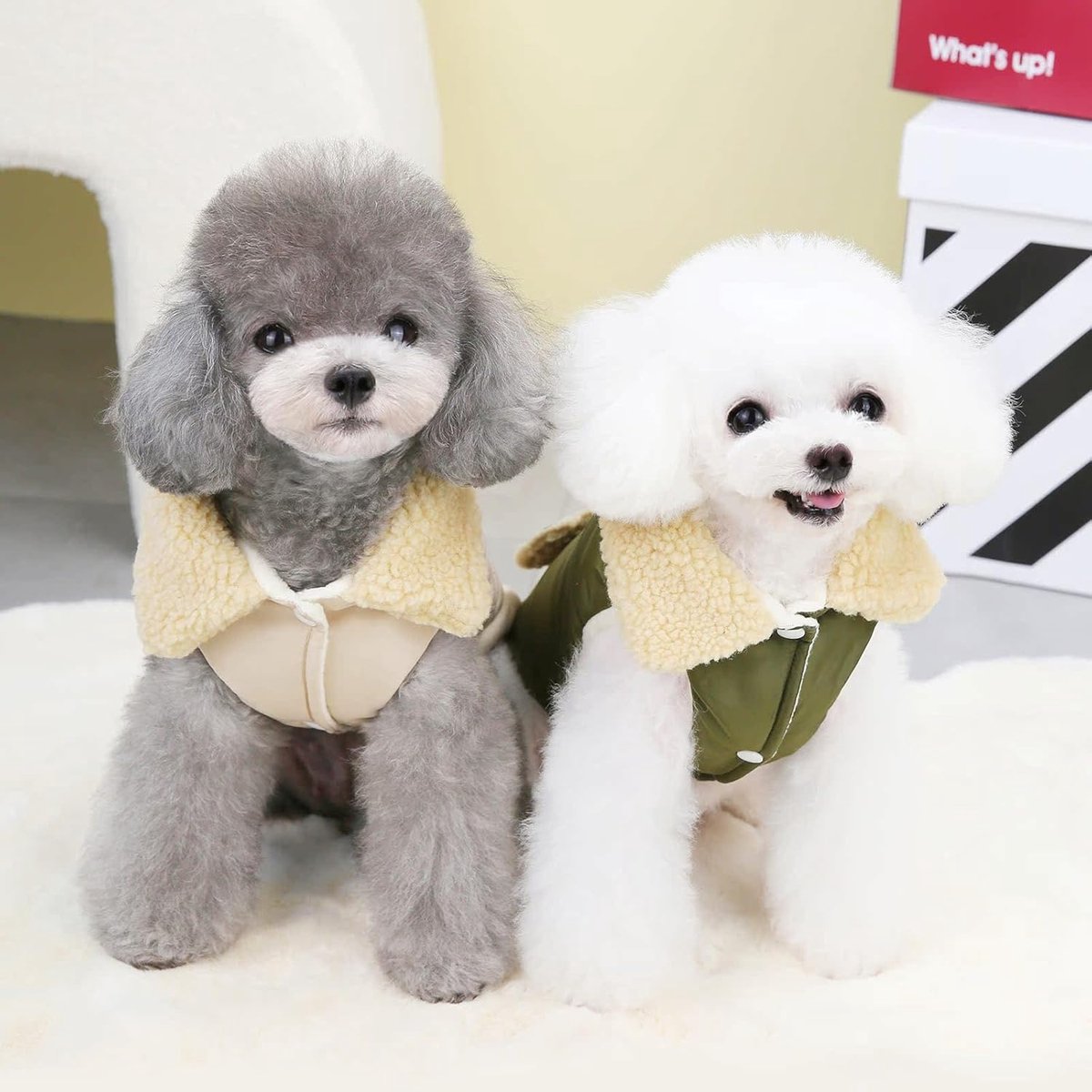 Dog Coat - Extreme Cold Weather Coat - Winter Dog Coat - Warm Dog Coat - Windproof Dog Coat - Velvet Dog Coat - Thick Winter Clothing - Fur Collar - Perfect for Dogs - Size XXL - Khaki - Image 3