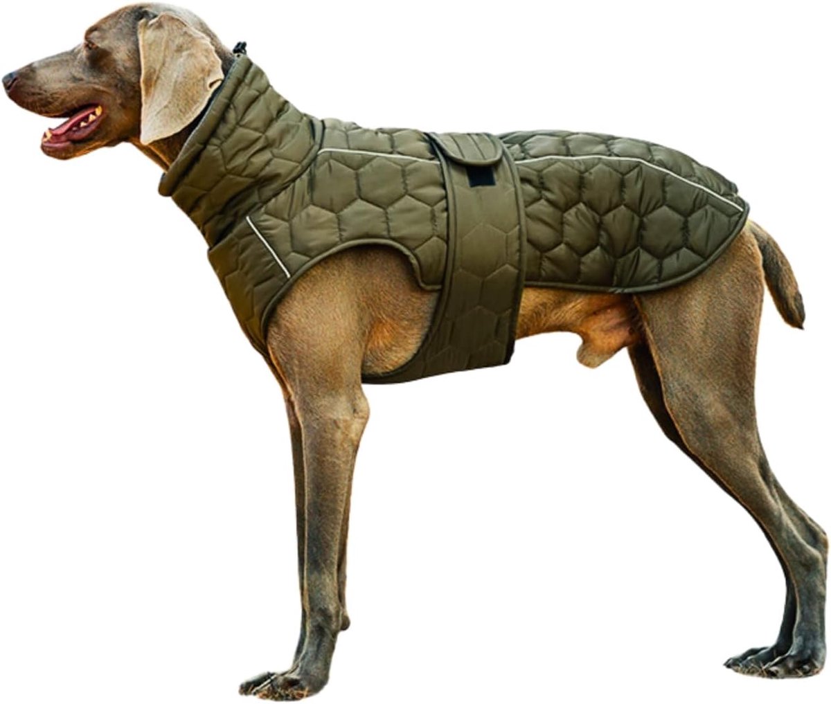 Dog Coat - Winter Dog Coat - Warm Dog Coat - Waterproof Dog Coat - Adjustable Reflective Coat - Velcro Design - Ideal for Medium-Sized Dogs - Size M - Green - Image 1