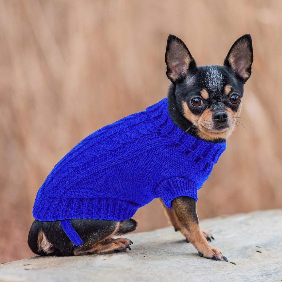 Dog Coat - Dog Sweater - Small Dog Sweater - Warm Dog Coat - Warm Puppy Sweater - Thick Knit Winter Sweater - Soft Roll Neck Sweater - Perfect for Small Dogs and Puppies - Christmas - XL - Image 4