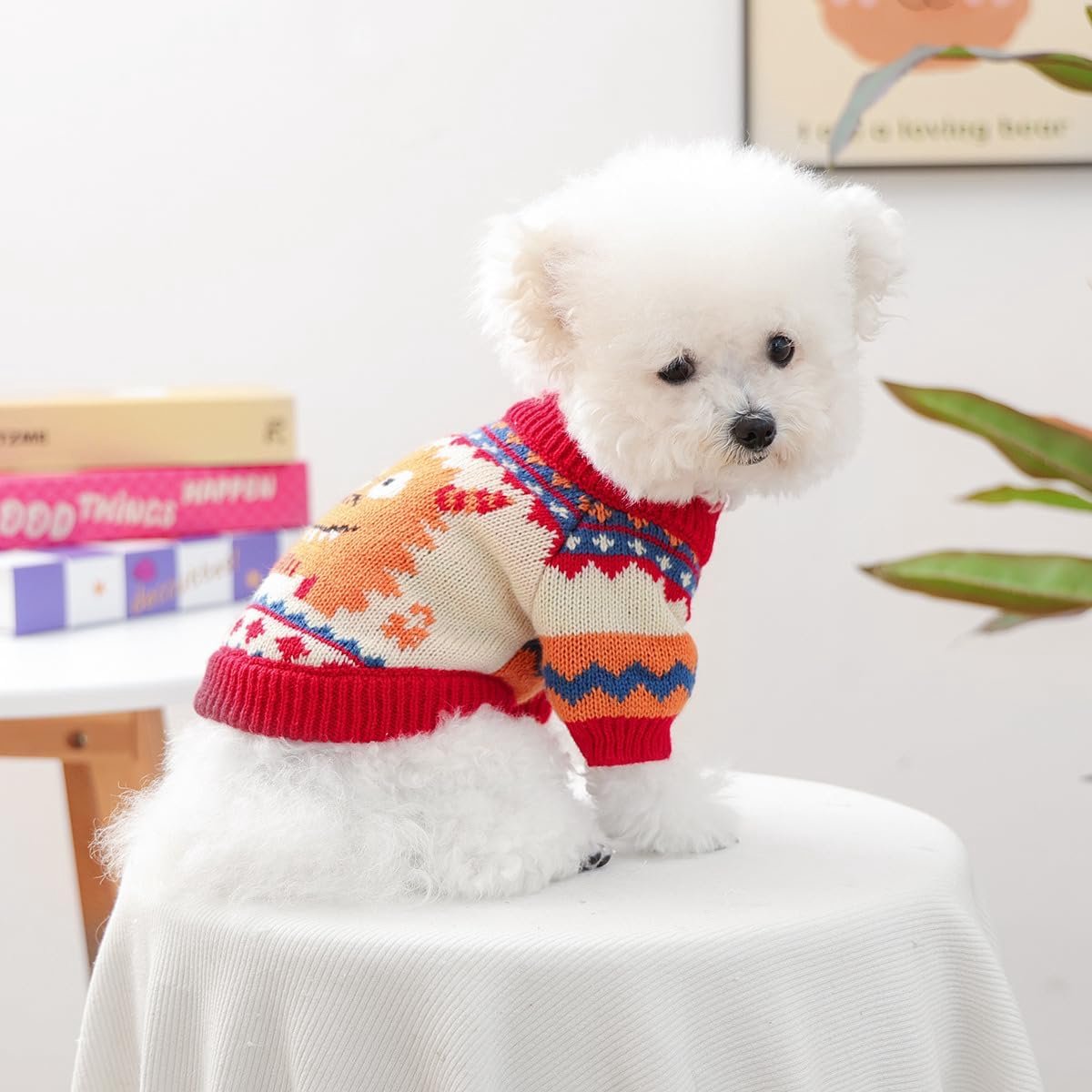 Dog Coat - Dog Sweater - Sweater for Small Dogs - Dog Sweater - Winter Knitted Sweater - Warm and Lightweight Cat Sweater - Perfect for Chihuahuas - Holidays - Christmas Decorations - Christmas - Size XL - Image 5