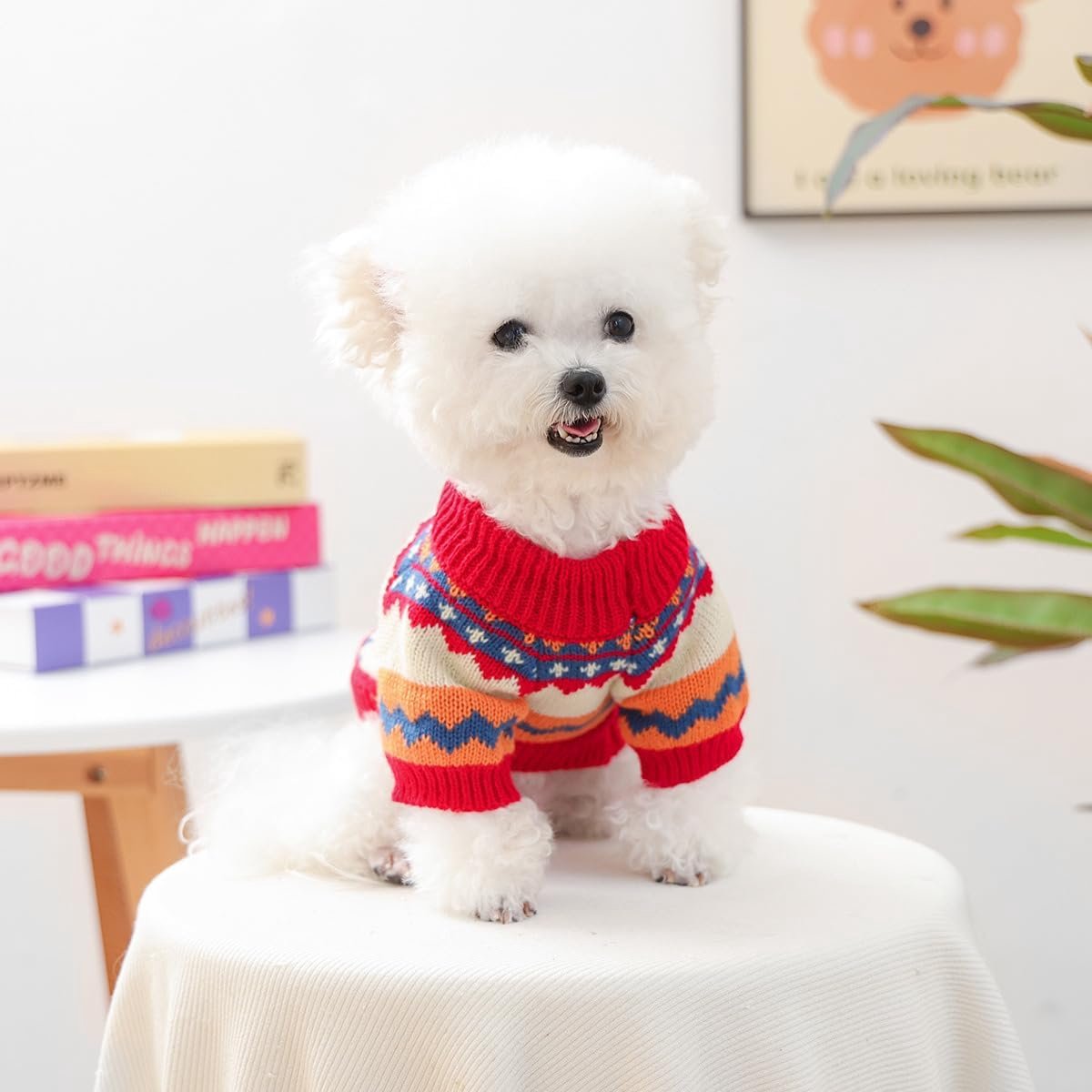 Dog Coat - Dog Sweater - Sweater for Small Dogs - Dog Sweater - Winter Knitted Sweater - Warm and Lightweight Cat Sweater - Perfect for Chihuahuas - Holidays - Christmas Decorations - Christmas - Size M - Image 3