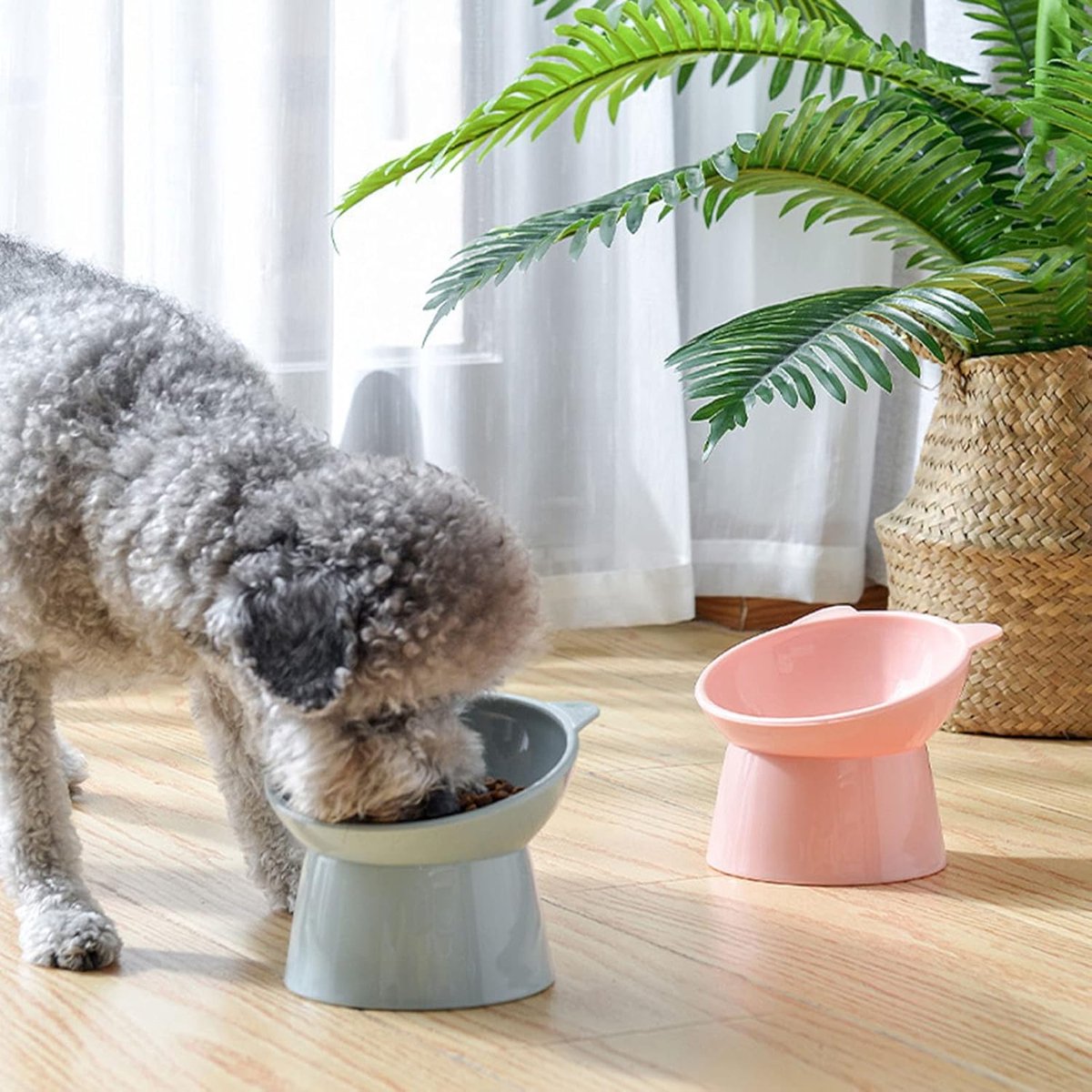 Cat bowl - Non-slip feeder - Tilting bowl - Anti-vomiting - Angled design - Blue - Perfect for cats - Indoor use - Pet accessories - Pink - Image 6