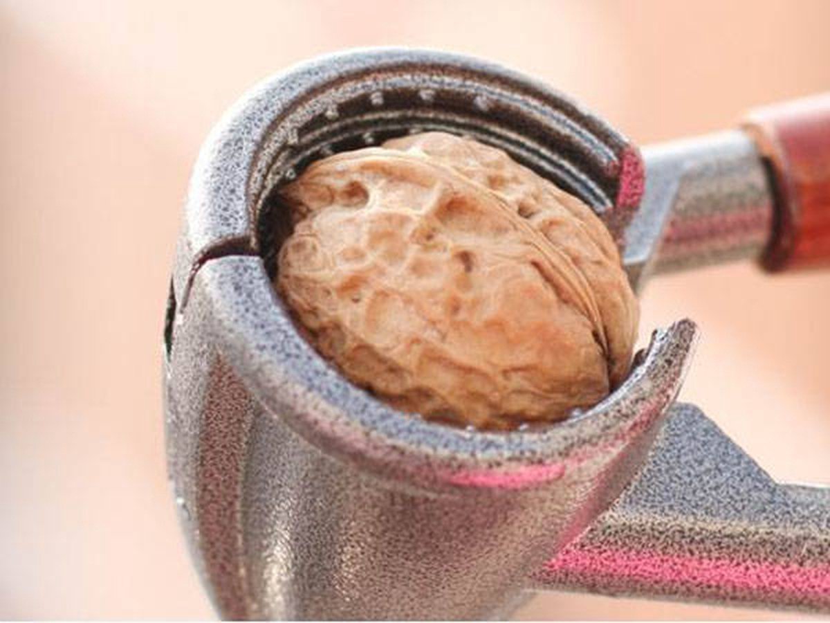 TR Goods - Steel nutcracker with wooden handle - Suitable for all nuts, including walnuts, hazelnuts and almonds - Image 4