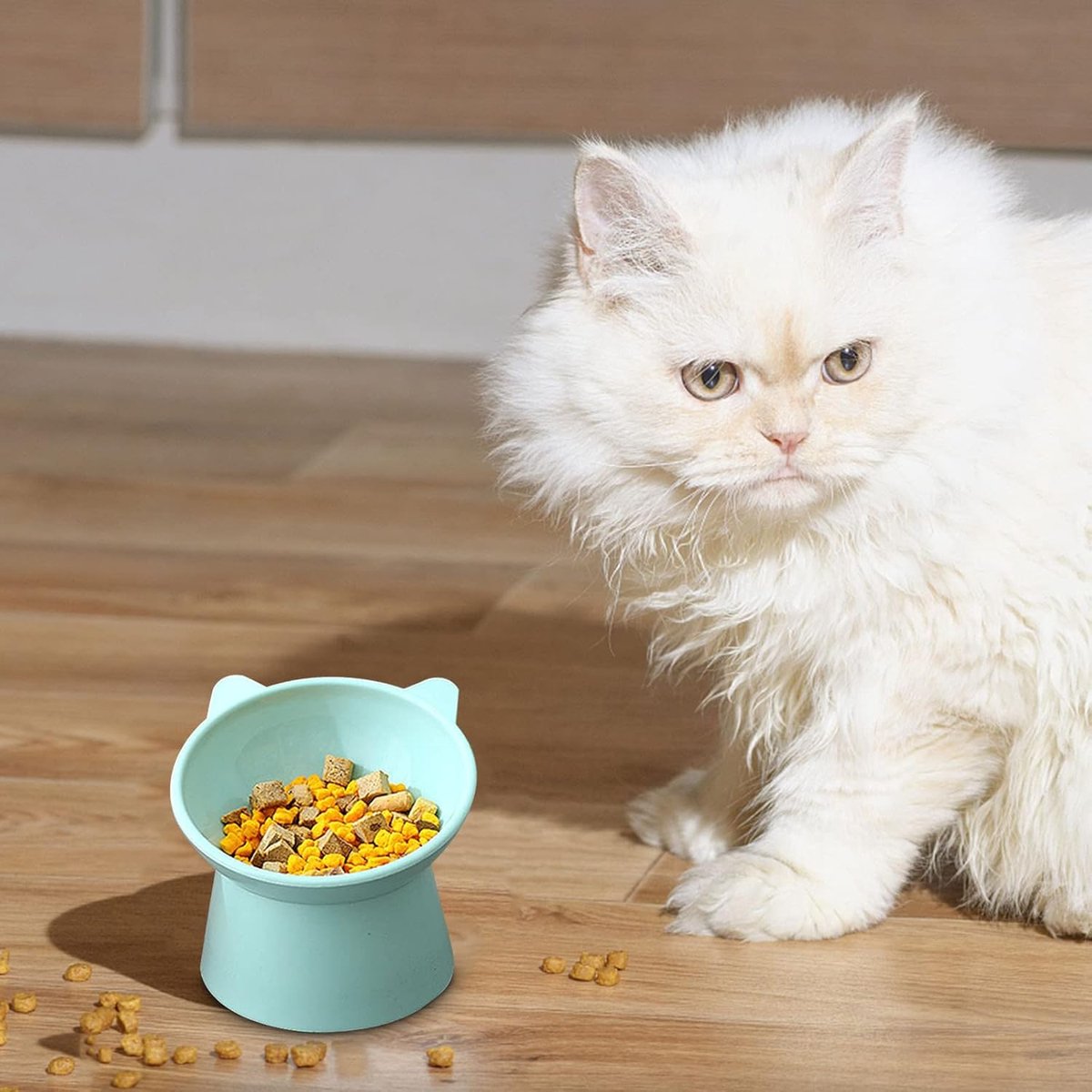 Cat bowl - Feeders - Tilting bowl - Anti-vomiting - Angled design - Blue - Perfect for cats - Indoor use - Pet accessories - Green - Image 5