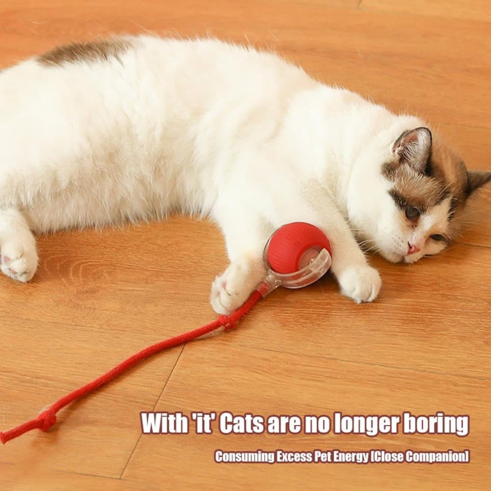 Smart Rolling Chew Ball for Dogs and Cats, Interactive Pet Toy, 2.5 inches - Image 4
