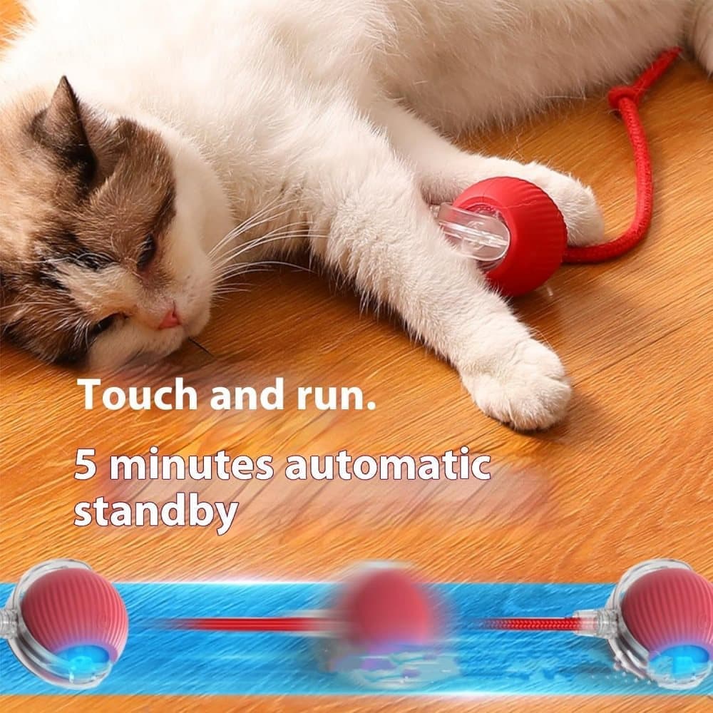 Smart Rolling Chew Ball for Dogs and Cats, Interactive Pet Toy, 2.5 inches - Image 5