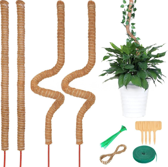 4 Bendable Moss Stakes for Climbing Plants, 100cm, Plant Support for Ivy and Monstera (4mm) - Image 1