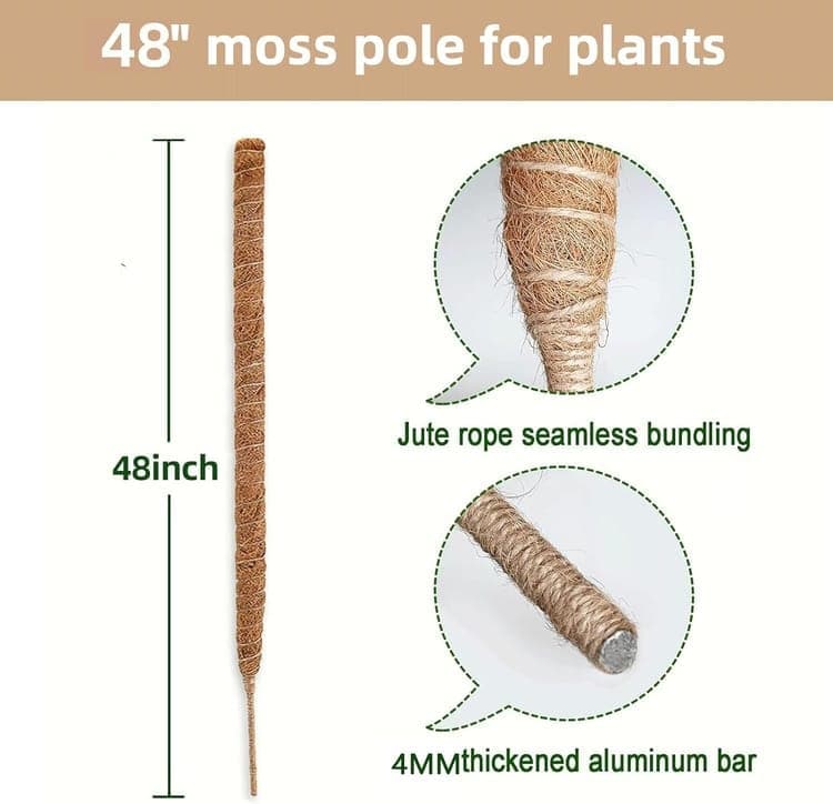 4 Bendable Moss Stakes for Climbing Plants, 100cm, Plant Support for Ivy and Monstera (4mm) - Image 4