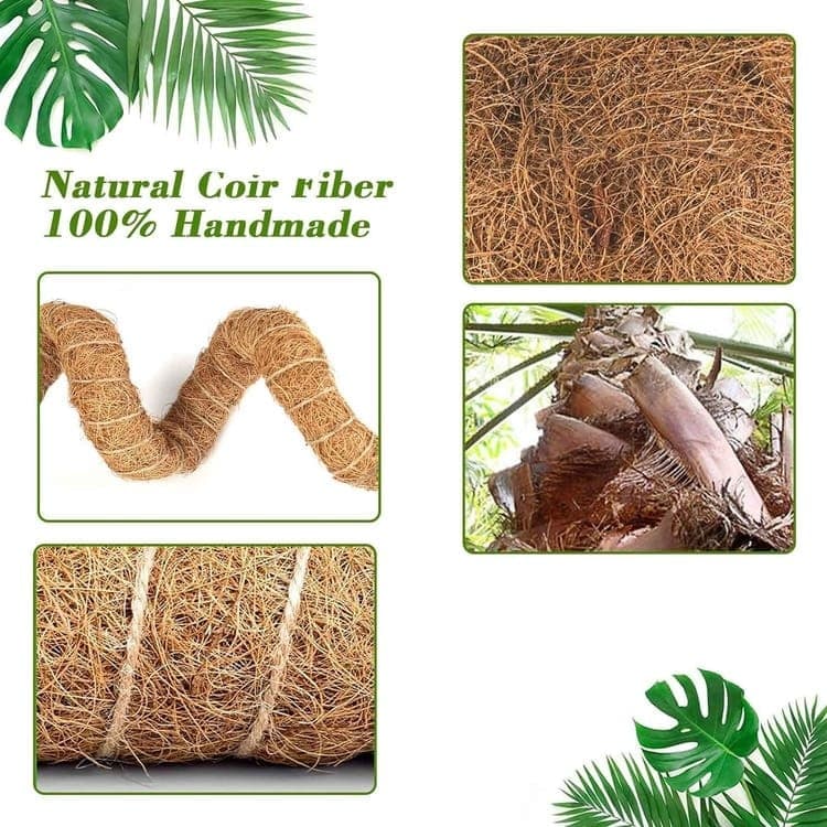 4 Bendable Moss Stakes for Climbing Plants, 100cm, Compatible with Ivy and Monstera, 7mm - Image 5