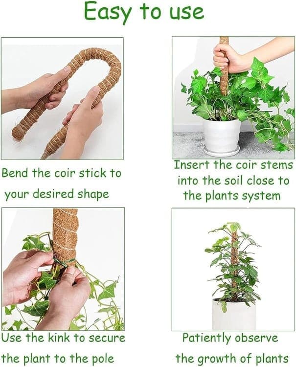 4 Bendable Moss Stakes for Climbing Plants, 100cm, Compatible with Ivy and Monstera, 7mm - Image 8