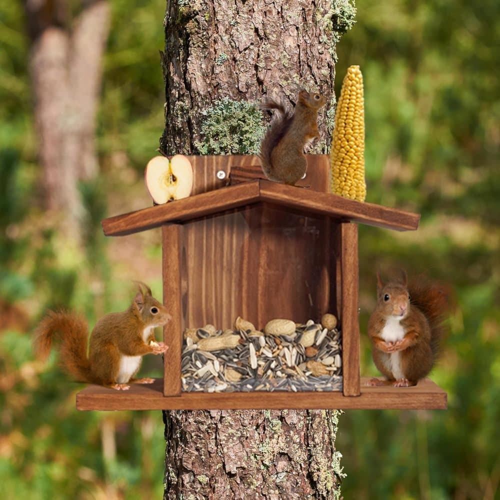 Wooden Squirrel Feeder with Removable Front Panel, Durable Outdoor Feeding Station, Easy to Fill - Image 5