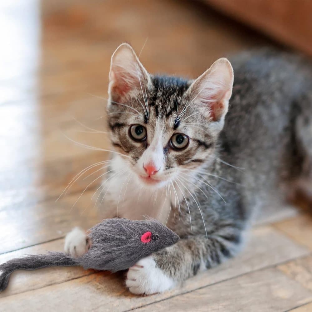 Cat Toy with Mouse and Feather, Hanging Door Toy for Indoor Cats, Stimulating Play - Image 7