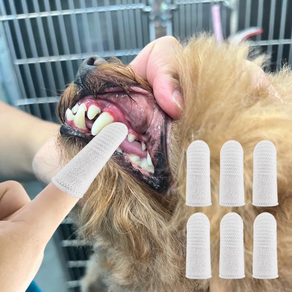 20 Pack Pet Finger Brush for Dogs and Cats, Gentle Teeth Cleaning, Reusable, Compatible with Oral-B - Image 3