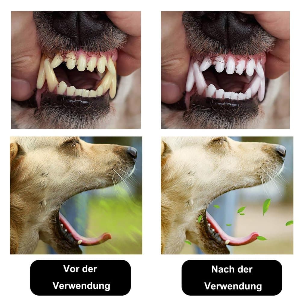20 Pack Pet Finger Brush for Dogs and Cats, Gentle Teeth Cleaning, Reusable, Compatible with Oral-B - Image 6