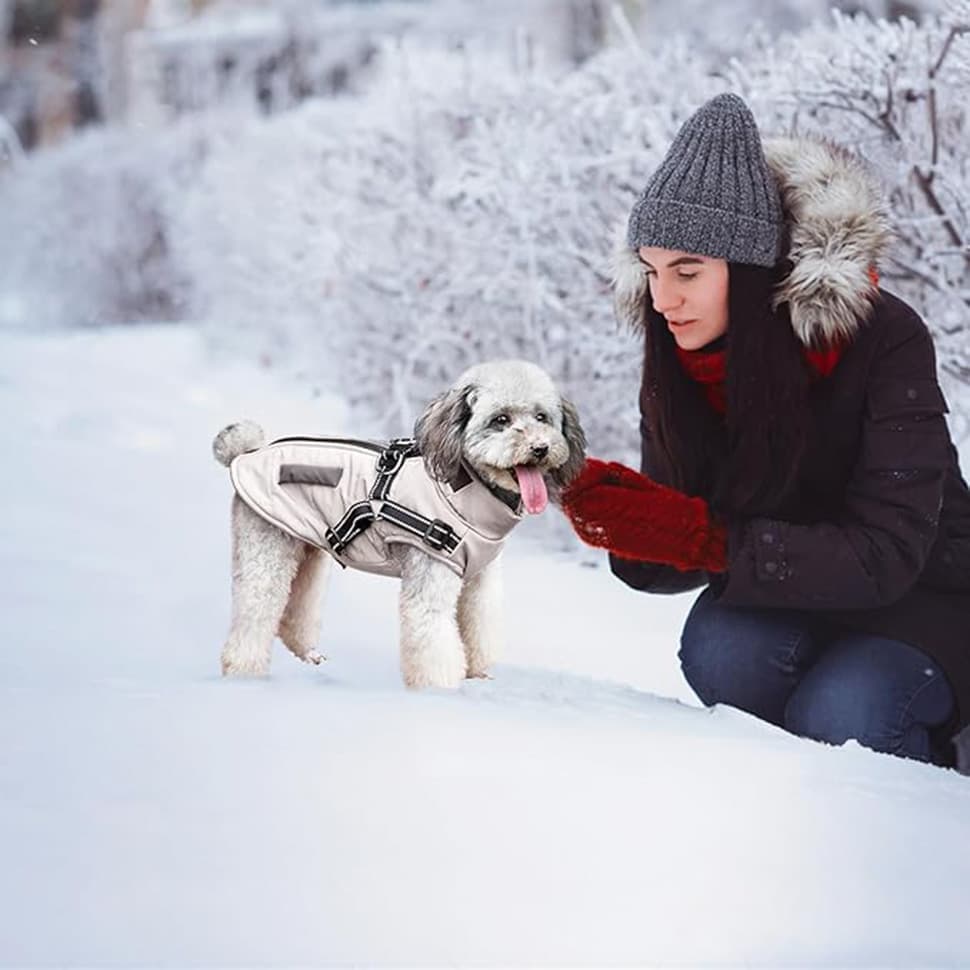 1 Warm Winter Dog Vest with Stand Collar, Wind and Waterproof, S M L XL, Beige - Image 4