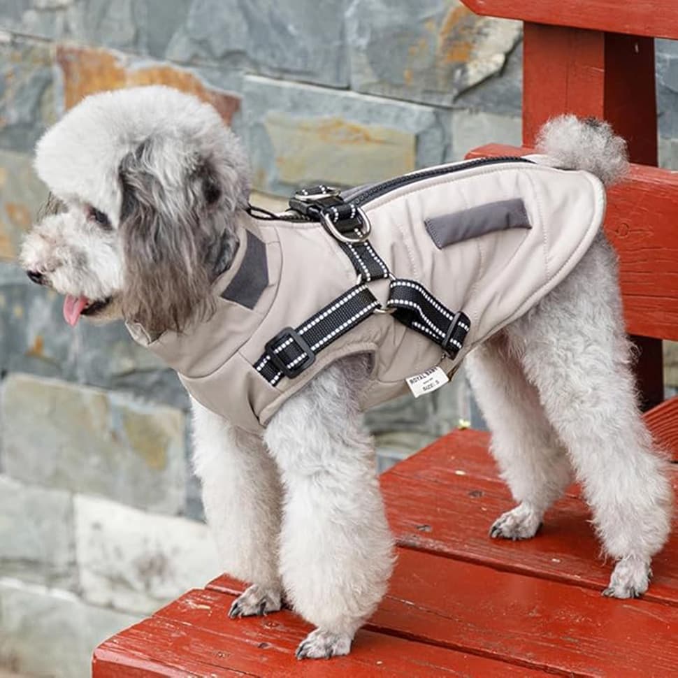 1 Warm Winter Dog Vest with Stand Collar, Wind and Waterproof, S M L XL, Beige - Image 5