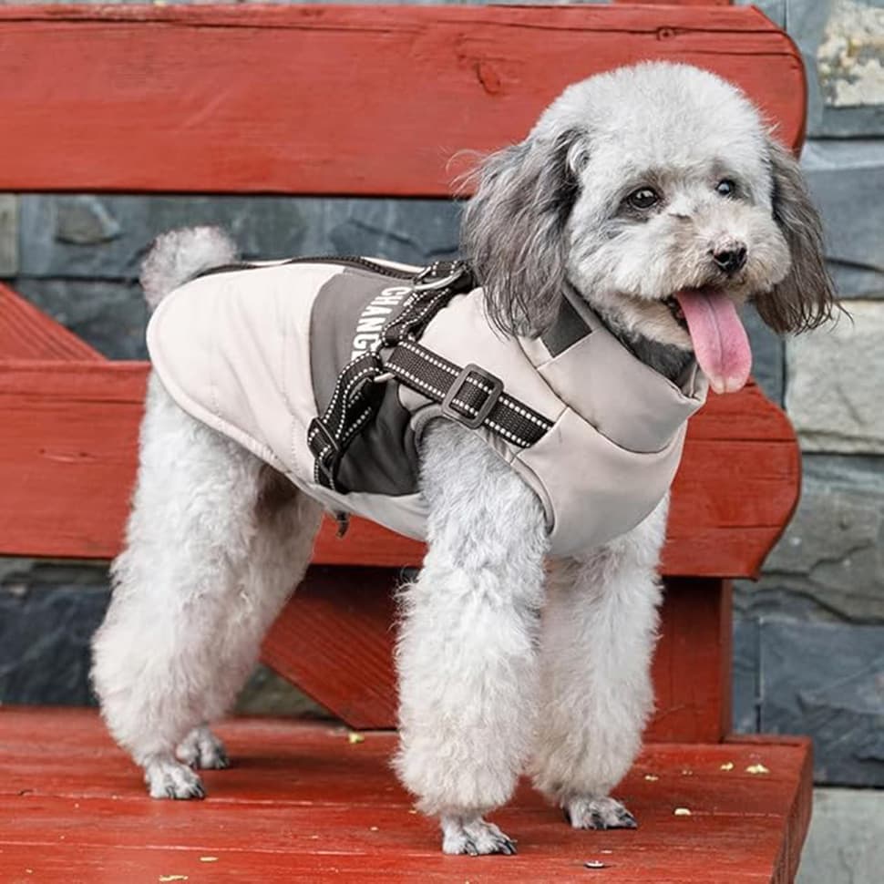 1 Warm Winter Dog Vest with Stand Collar, Wind and Waterproof, S M L XL, Beige - Image 6
