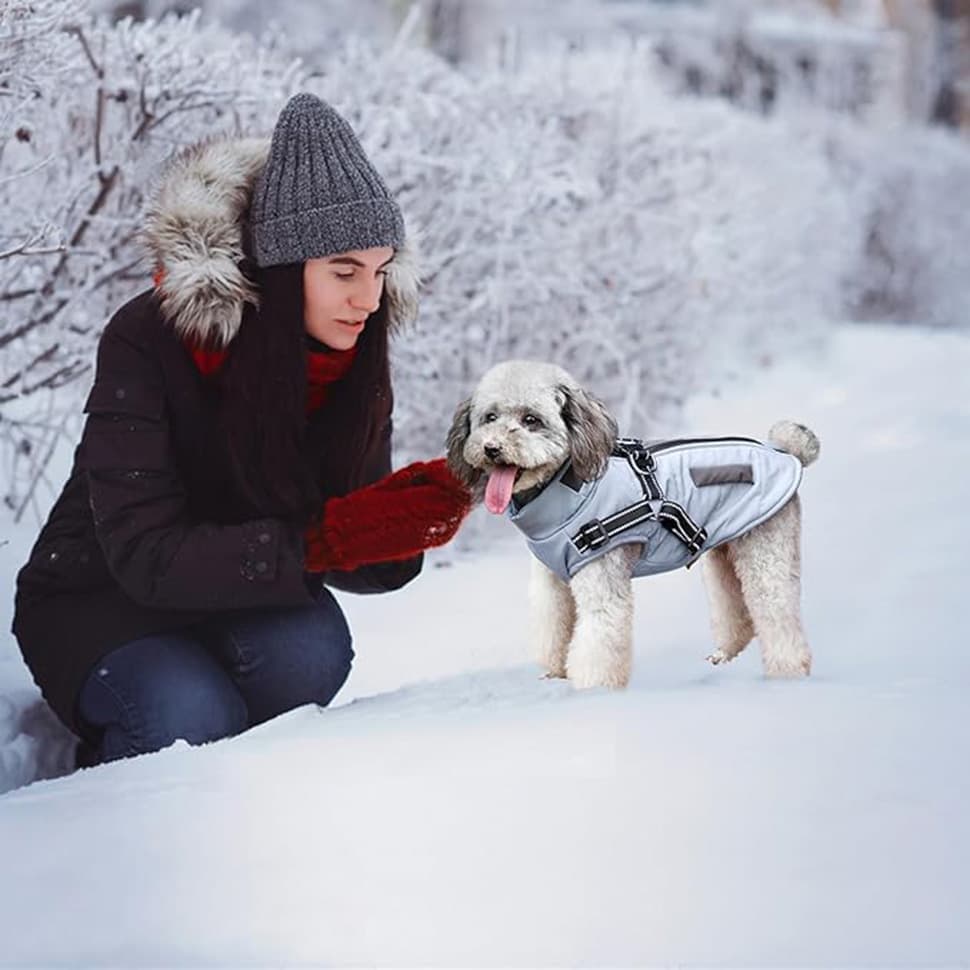 Warm Soft Winter Dog Vest with Stand Collar, Wind and Waterproof, Blue, S M L XL - Image 4