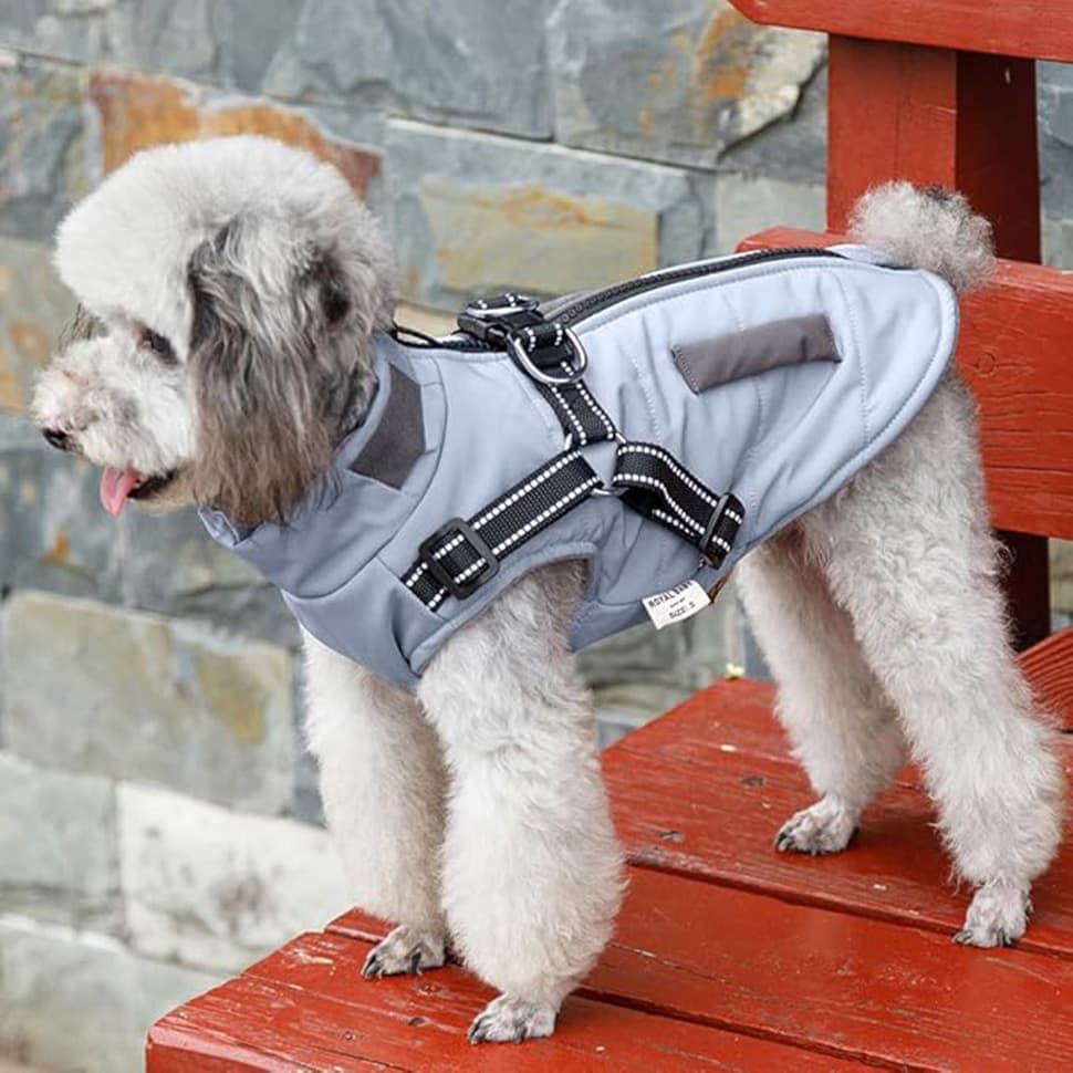 Warm Soft Winter Dog Vest with Stand Collar, Wind and Waterproof, Blue, S M L XL - Image 6