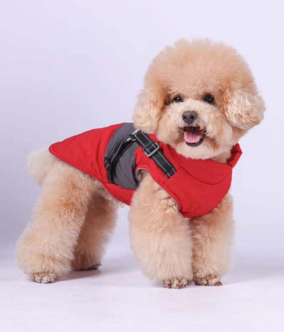 Winter Dog Vest Warm Soft Stand Collar Windproof Waterproof, Multiple Colors, S M L, XL, Red - Image 5