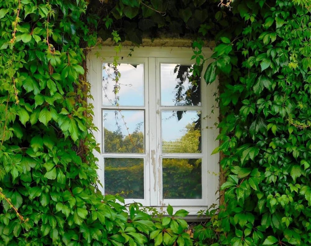 Reflective Self-Adhesive Window Film for Sun Protection UV Block and Privacy, Gray, 40cmx5m - Image 7