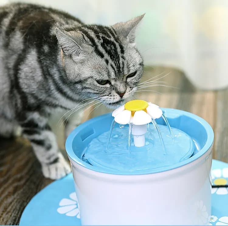 1.6L Pet Water Fountain for Cats and Dogs, Round, 15.5 x 15.5 x 10.5cm, Blue - Image 5