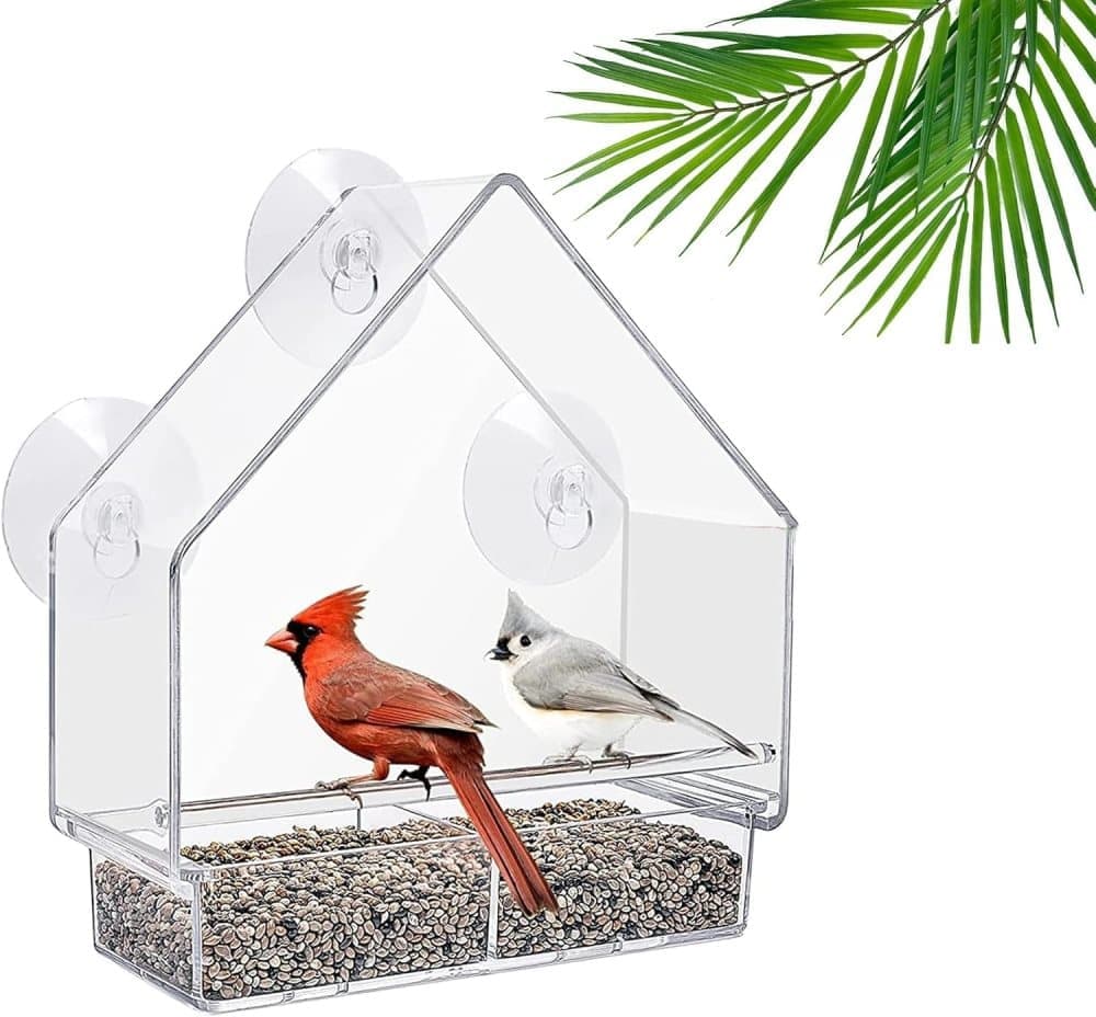 Acrylic bird feeder with suction cup bird bath and food bowl, 15x5.5x16 cm - Image 1