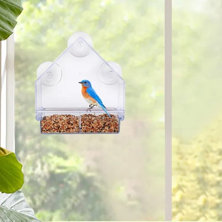 Acrylic bird feeder with suction cup bird bath and food bowl, 15x5.5x16 cm - Image 3