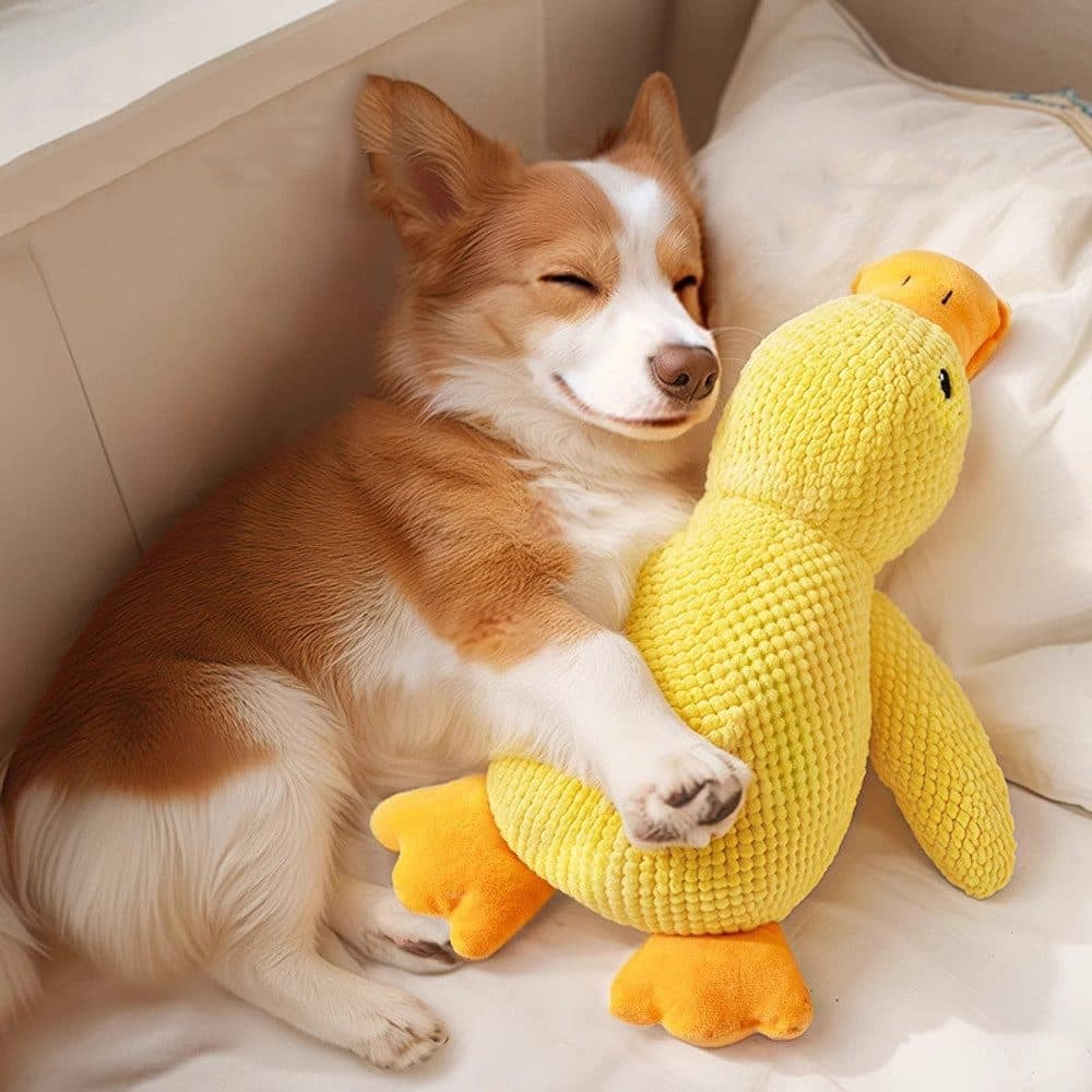 1 Calming Dog Toy Plush Duck with Squeak for Small Dogs, S - Image 6