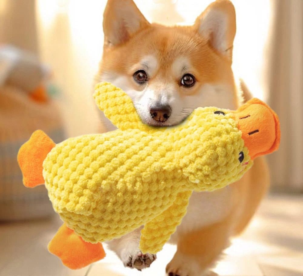 1 Calming Plush Duck Dog Toy with Squeaker for Small Dogs, M - Image 5