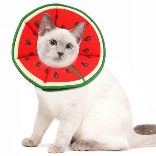 1 Protective Collar for Cats and Dogs with Velcro, Adjustable Neck Collar, Compatible with Cats, M, Red - Image 1