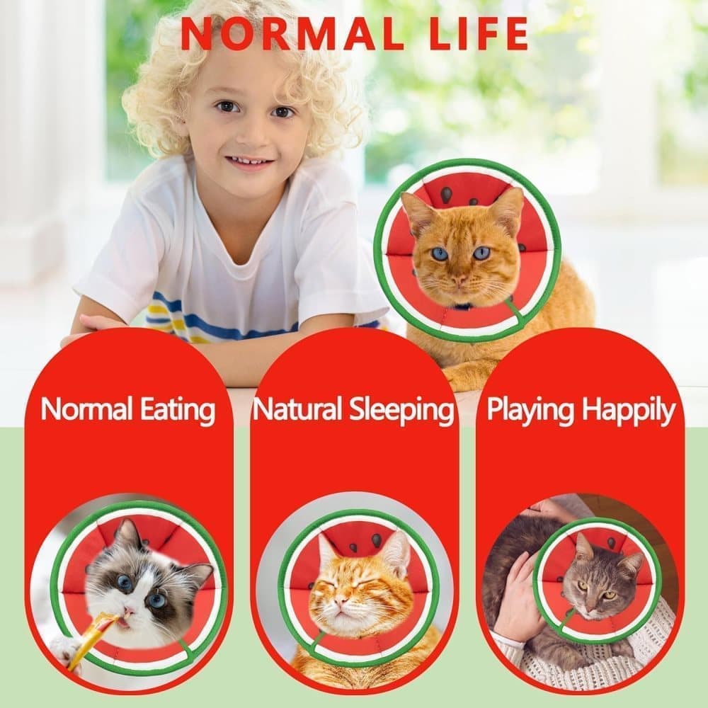 1 Protective Collar for Cats and Dogs with Velcro, Adjustable Neck Collar, Compatible with Cats, M, Red - Image 4