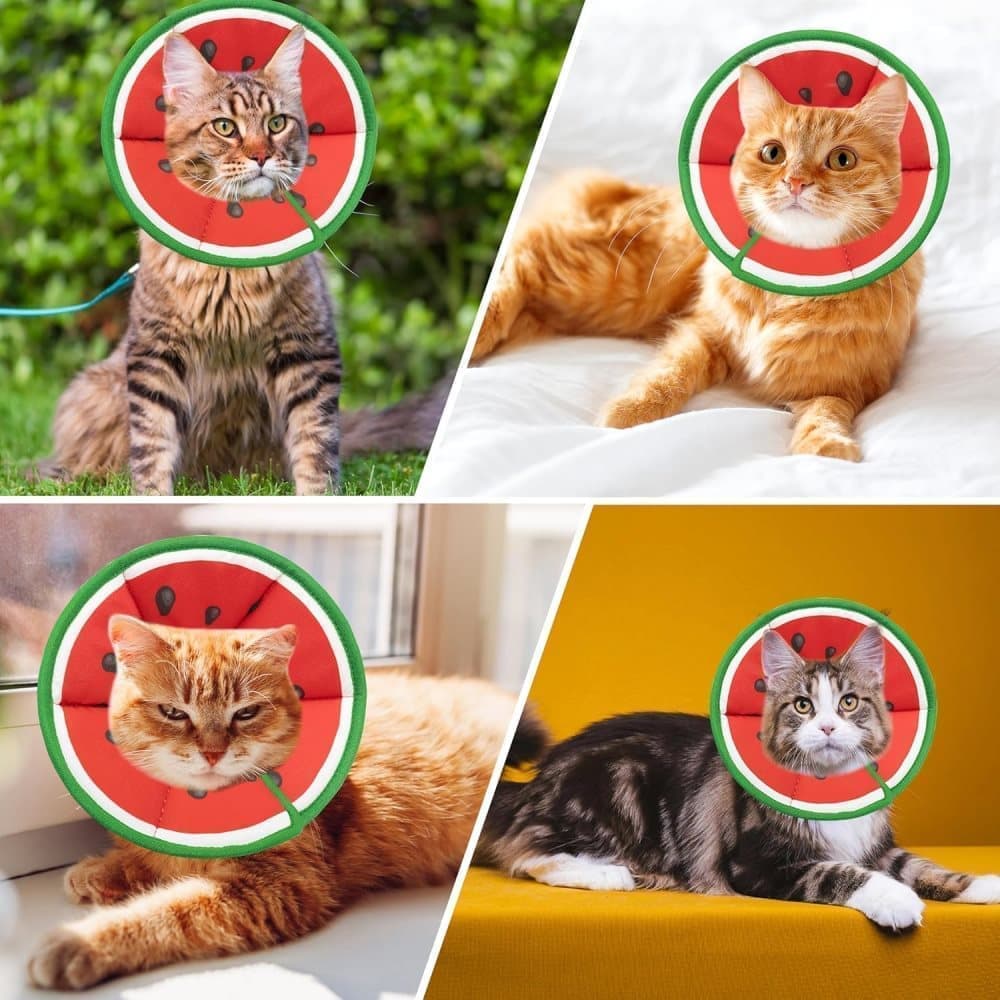 1 Protective Collar for Cats and Dogs with Velcro, Adjustable Neck Collar, Compatible with Cats, M, Red - Image 7