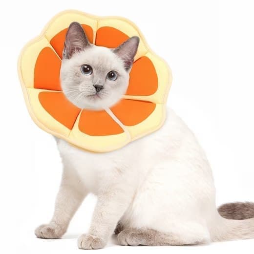 1 Adjustable Protective Collar for Cats and Dogs with Velcro, Compatible with Cats, M, Orange - Image 1