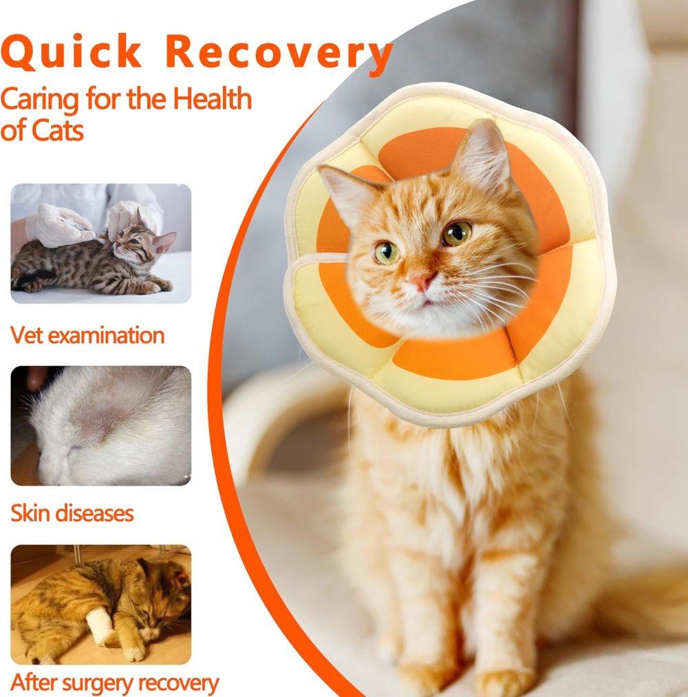 1 Adjustable Protective Collar for Cats and Dogs with Velcro, Compatible with Cats, M, Orange - Image 4