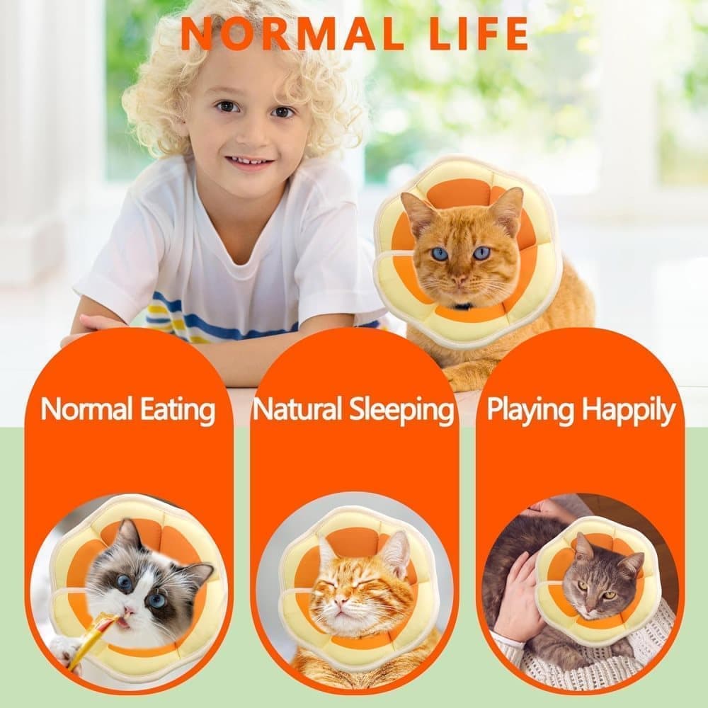 1 Adjustable Protective Collar for Cats and Dogs with Velcro, Compatible with Cats, M, Orange - Image 5