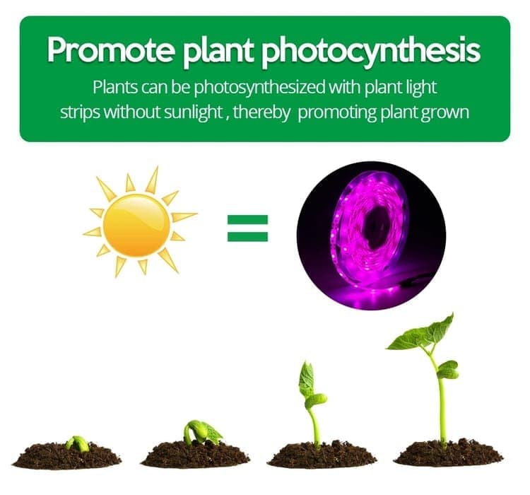 Full Spectrum USB LED Grow Light for Small Plants Greenhouse, 5M, Compatible with USB - Image 4